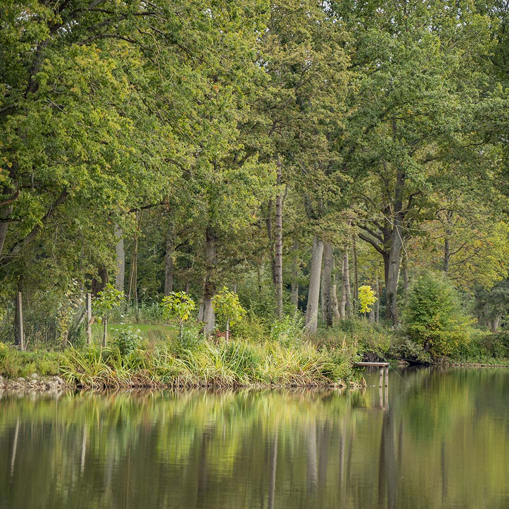 Ablacus - Le pavillon